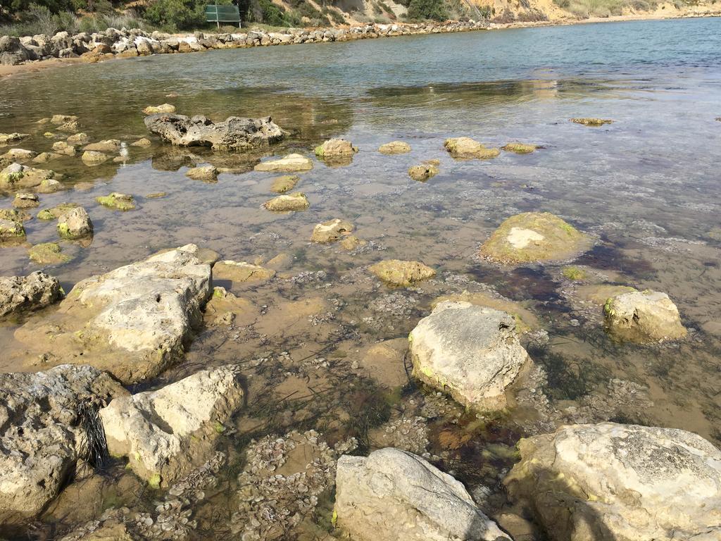 레알몬테 La Bianca Scogliera B&B 외부 사진
