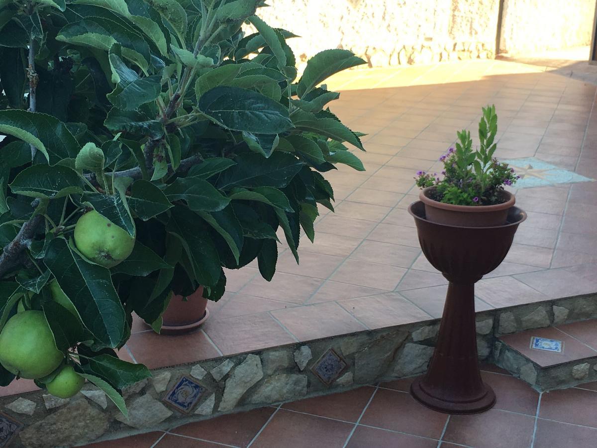 레알몬테 La Bianca Scogliera B&B 외부 사진